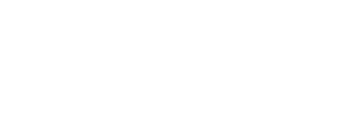ALDO FASHION LTD.